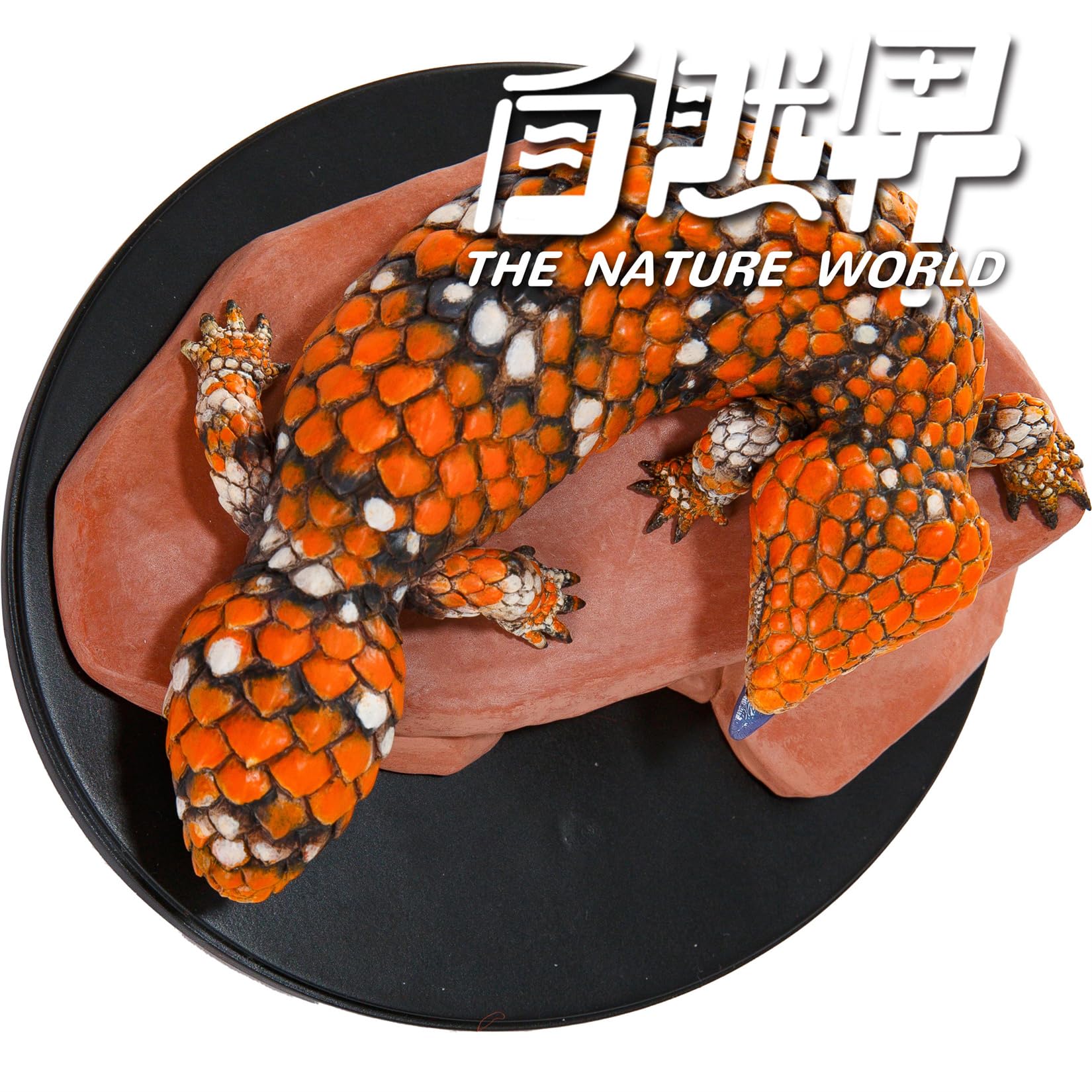 Amazon.co.jp: 動物惑星 マツカサトカゲ 14CM 樹脂 フィギュア 台座
